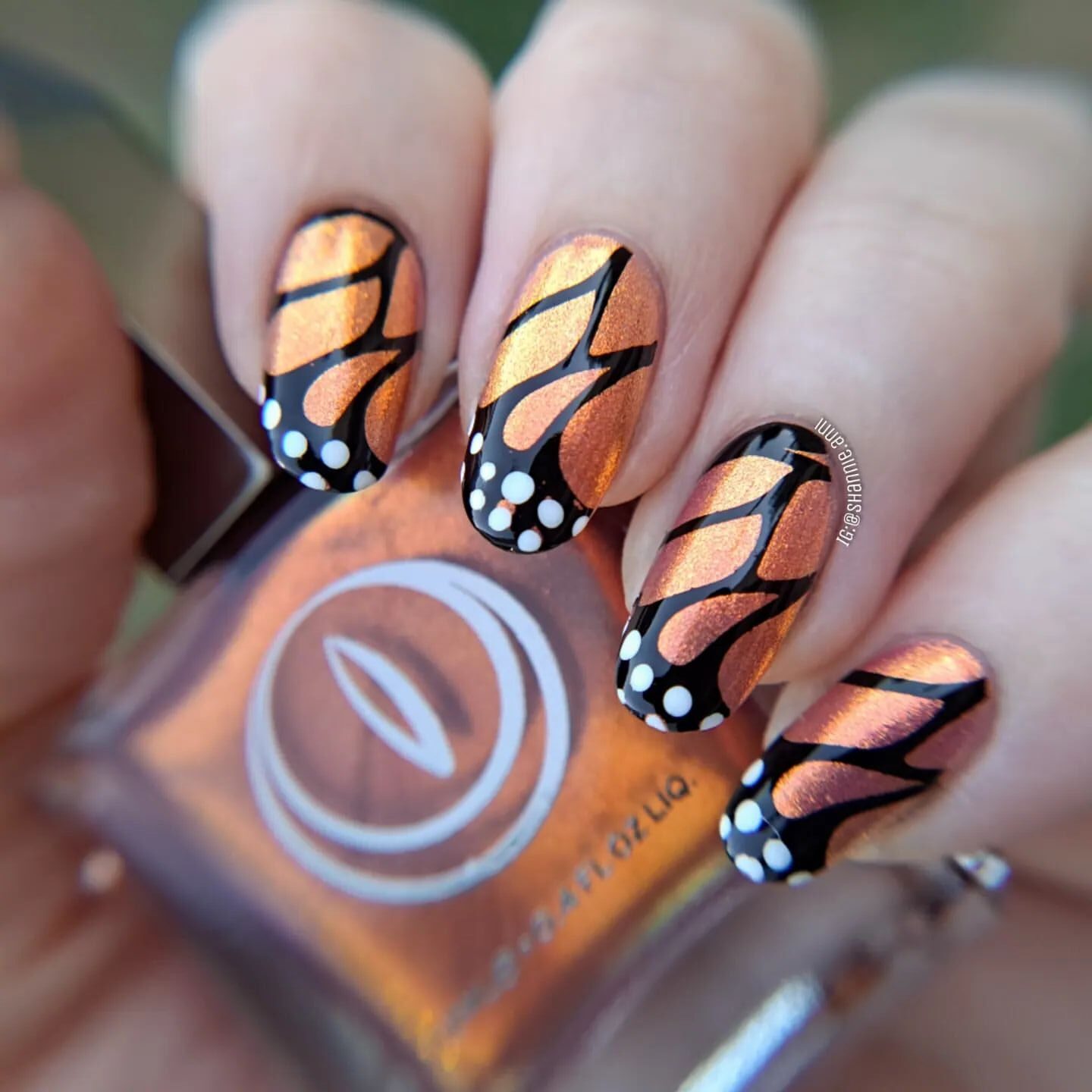 Butterfly Nail Art